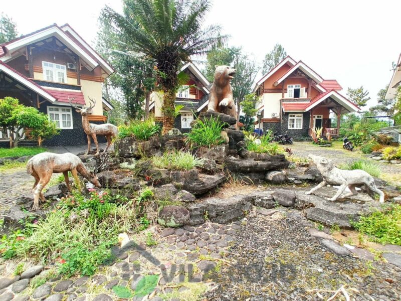 Sewa Villa Kota Bunga Puncak Dengan Harga Termurah - VILA.CO.ID